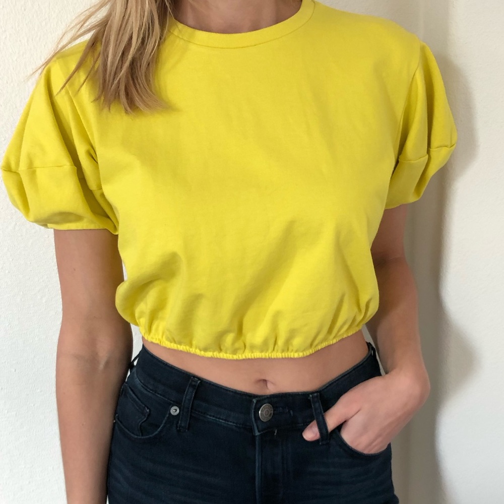 NWT Zara crop top